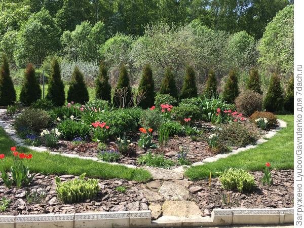 Розовые сорта в Главном цветнике