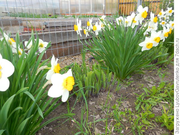 Хосты только просыпаются