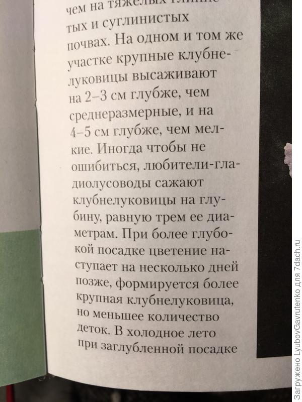 Глубже - меньше деток