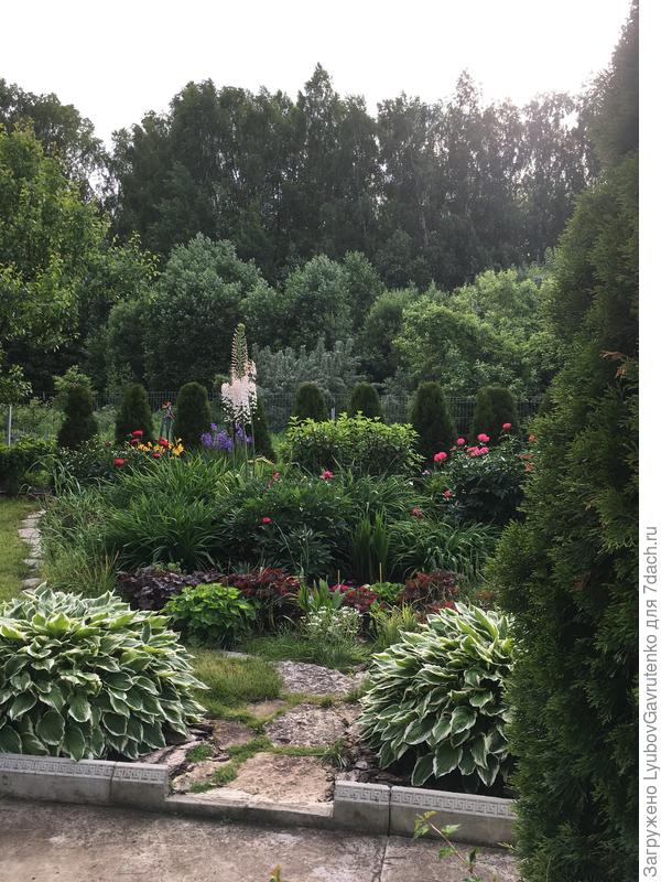 И в другом цветнике солирует...