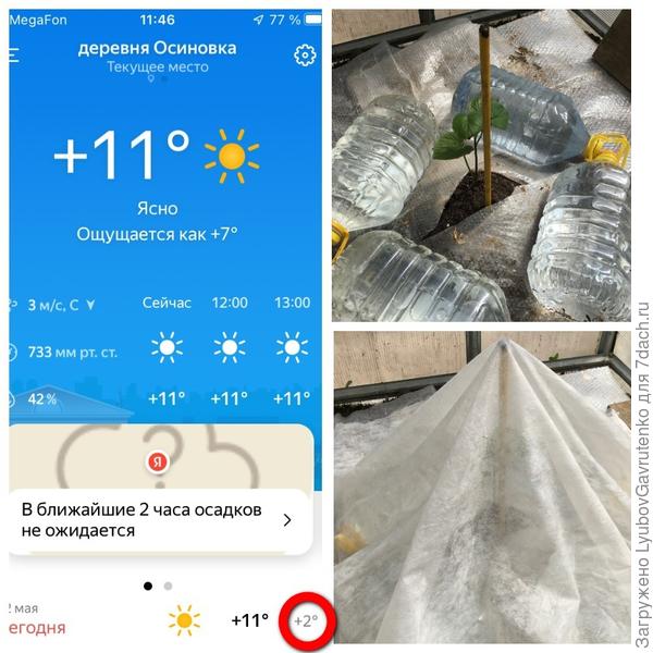 Ночью только +2°C, Карл!