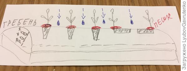 Сразу набросала схемку, чтобы до весны не забыть ИДЕИ)))