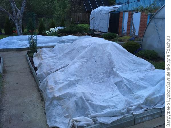 21 мая - холод идёт!