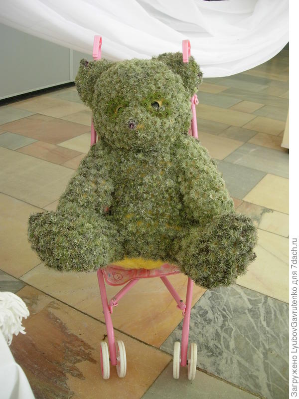 И медведя подобного мы тоже делали - для клубной выставки &amp;quot;Дом цветочных фантазий&amp;quot;