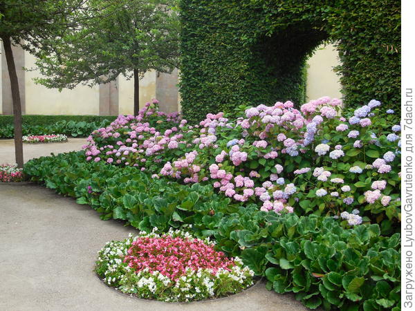 Какой роскошный бордюр!