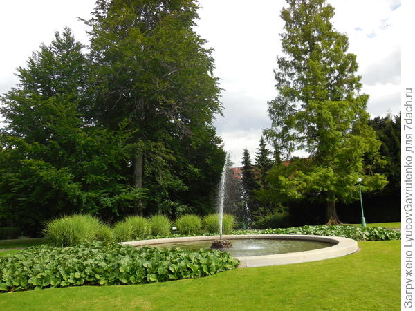 В Королевском саду