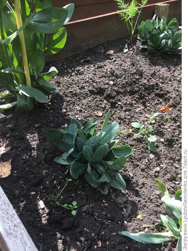 ...но просто бесит такой разнобой!