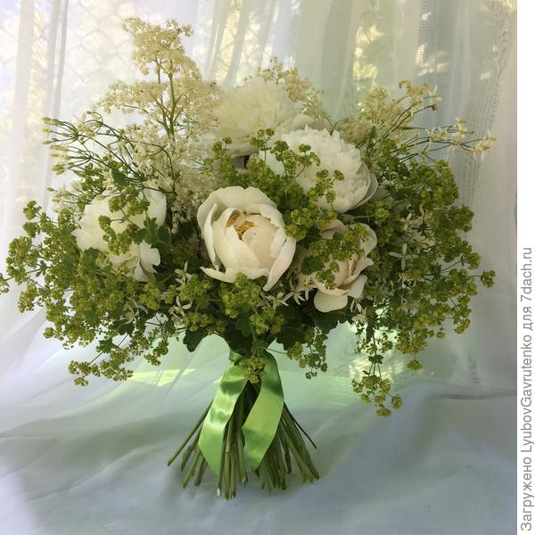 Пион Лотос Куин с клематисом мелкоцветковым, цветоносами роджерсии и манжетки в качестве стаффажа