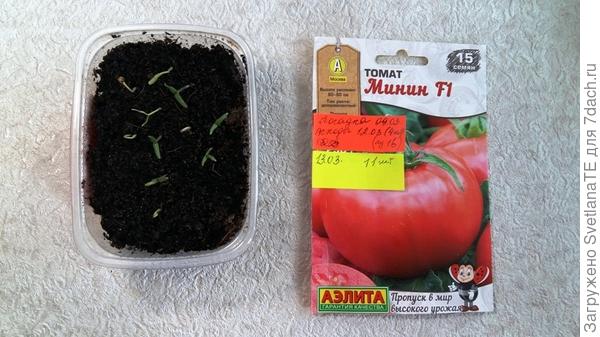 13 марта. 11 всходов.