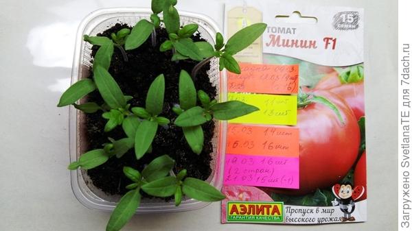 21 марта