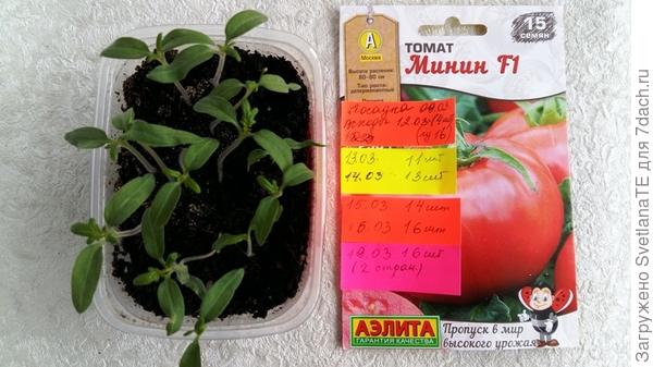 19 марта