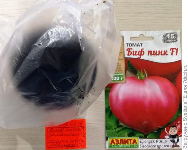 Импровизированный парник из пакета. Сохраняется тепло и влажность.