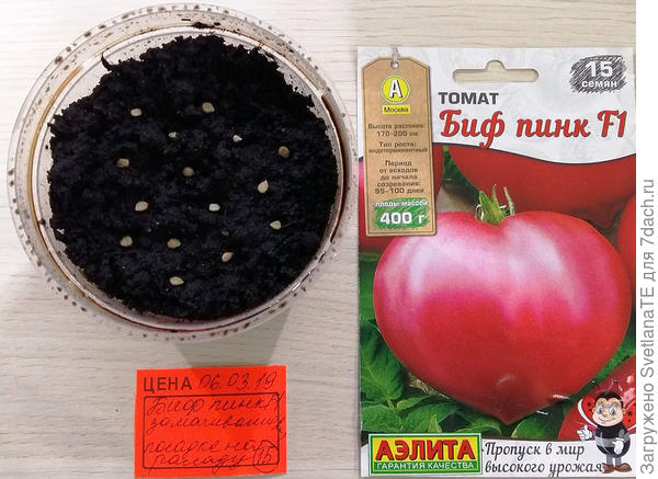 Раскладка семян.