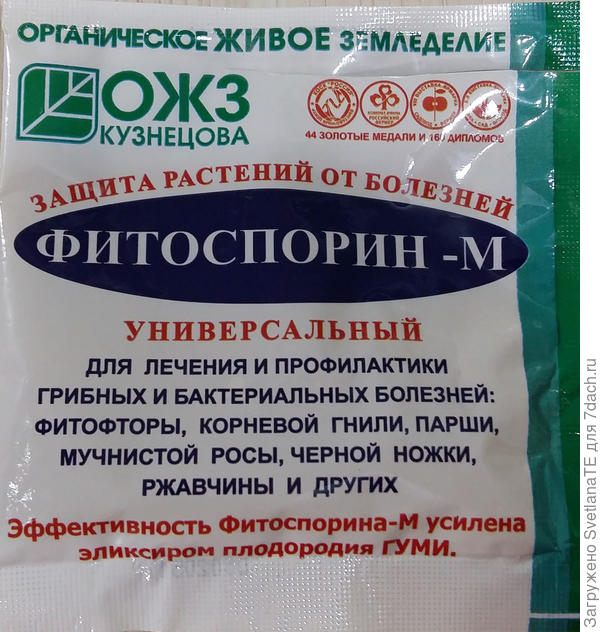 Замачивание семян томата Биф пинк F1 в растворе Фитоспорина - м. Раствор приготовлен согласно инструкции на пакете.