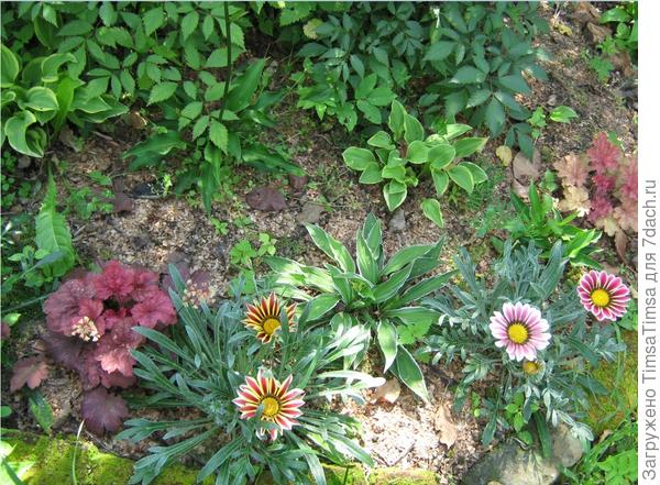 Весной добавим гацанию...