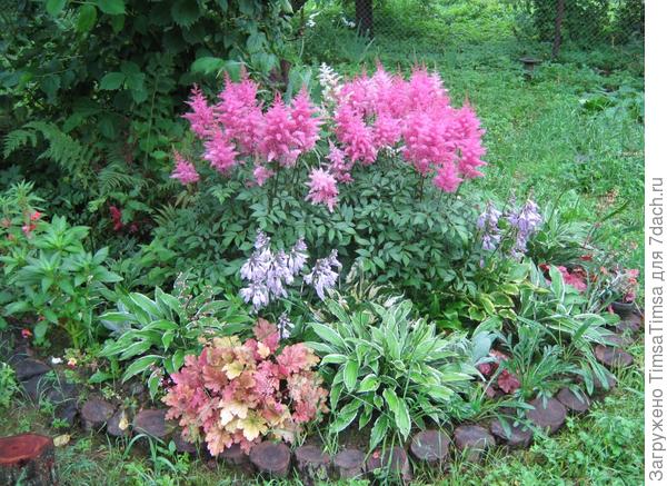 Следующее лето. Мокрый и холодный 2017...