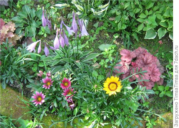 и еще гацания