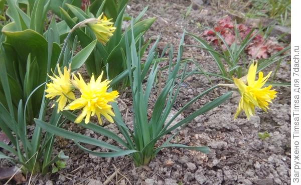 Любимые малыши