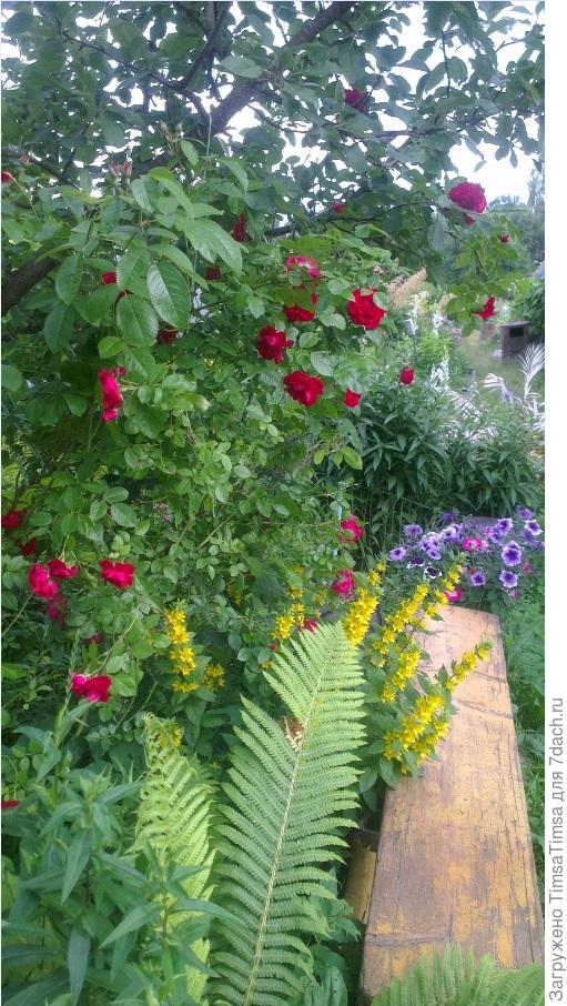 Вот моя девица в темнице...