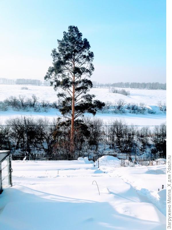 Любимый вид