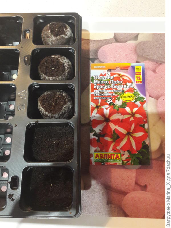 Семена посеяны
