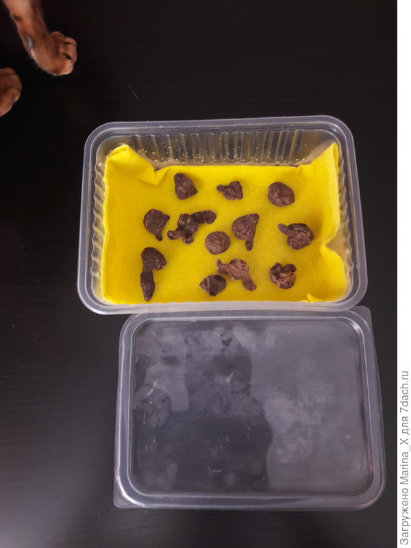 Положила на мокрую тряпочку и закрыла крышкой