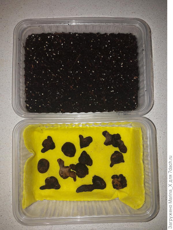 Через 4 часа