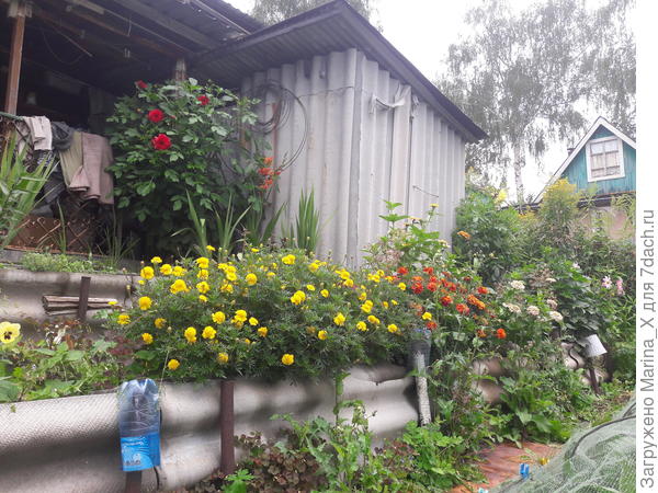 Тюль от бабочек