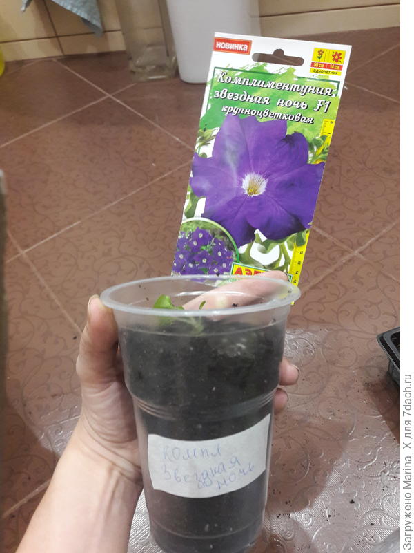 Пикировка выполнена