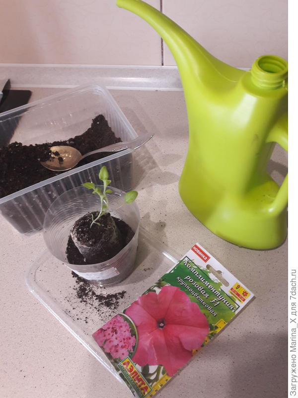 Заполняю на 1/3