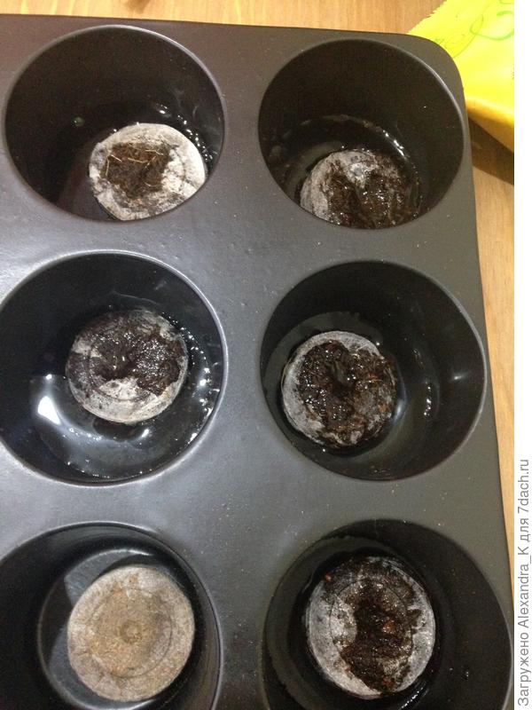 Заливаем горячей водой