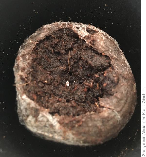 Оболочку разрушили