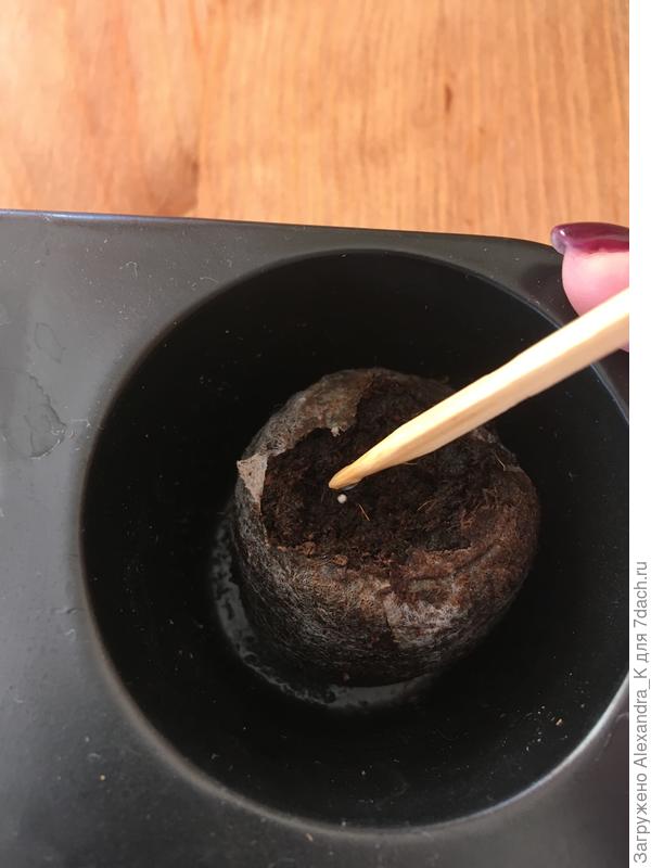 Разрушаем оболочку