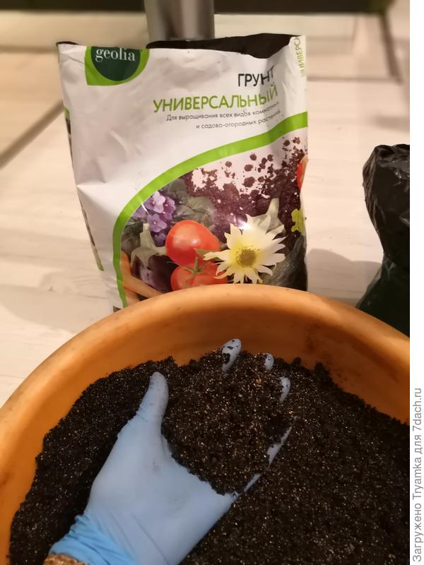 грунт