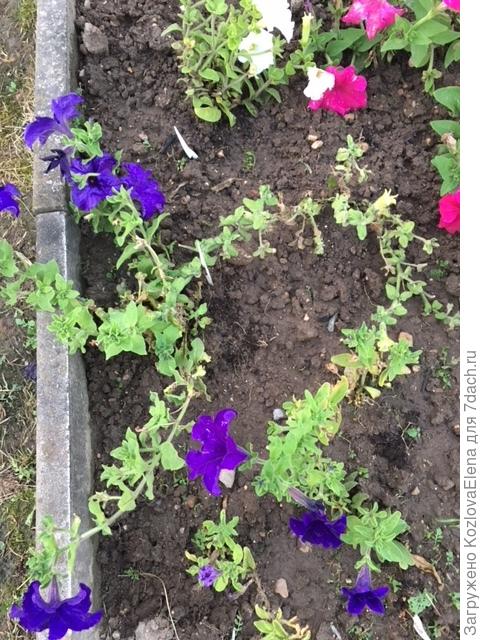 30.07.2018