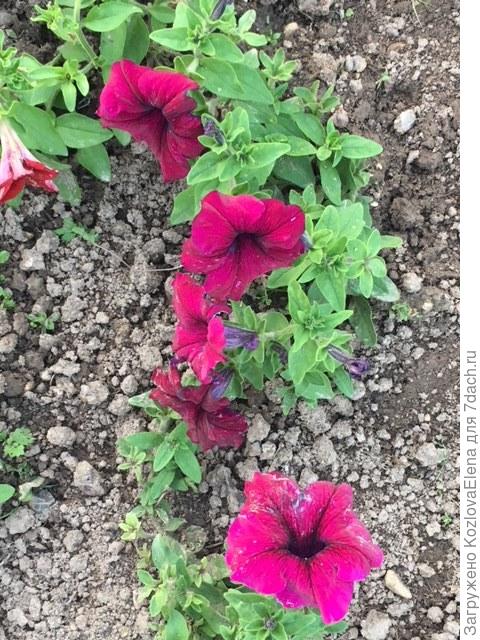 24.07.2018