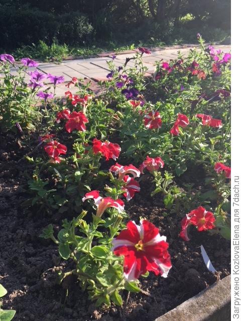 30.07.2018