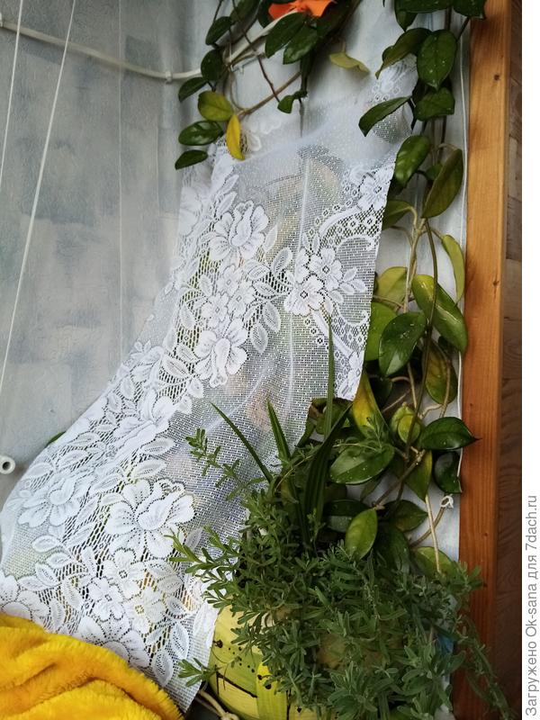 занавешу пока