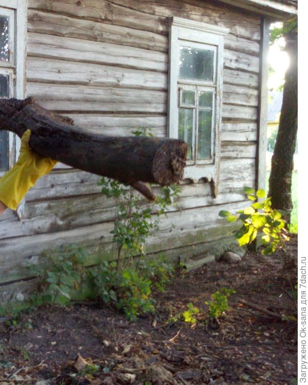 Вот как-то так бабушкин дом &quot;обнаружился&quot; прошлым летом.