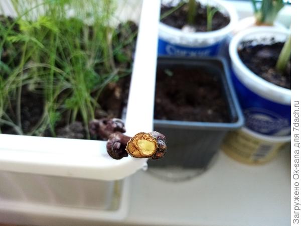 то же вздутие (лучше не получается снять)