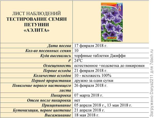 Схема посадки петунии гибридной