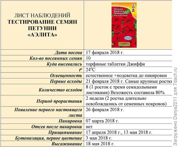 Василиса Премудрая F1