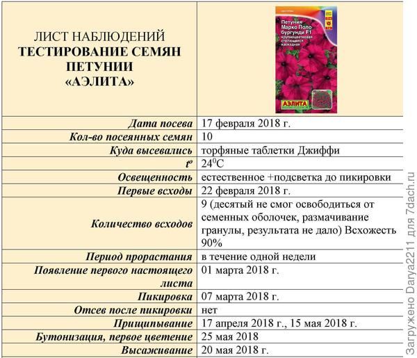 Петуния Марко Поло бургунди F1