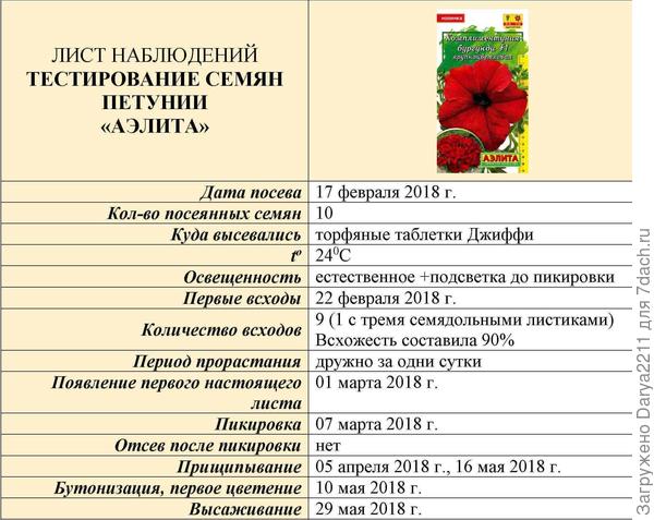 Комплиментуния бургунди F1