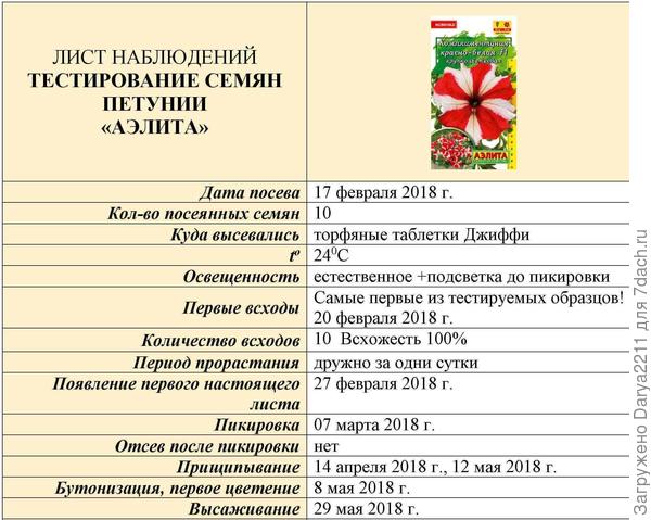 Комплиментуния красно-белая F1
