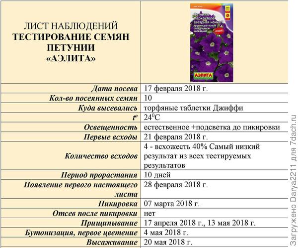 Марко Поло звездная ночь F1