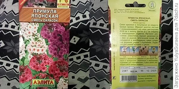 Примула