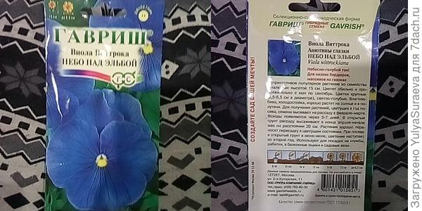 Виола