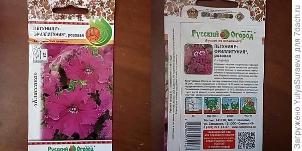 Петуния