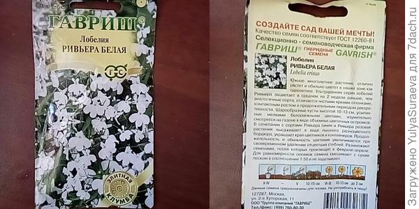 Лобелия